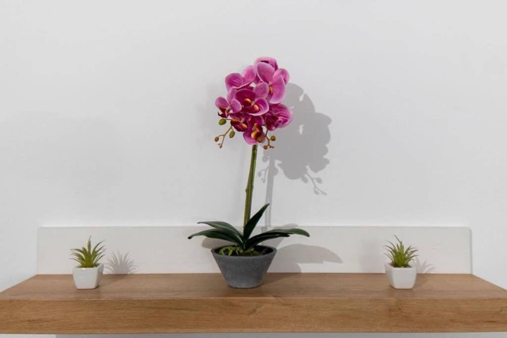 Brand New Aprt With Backyard In Lycabettus Hill ! Athens